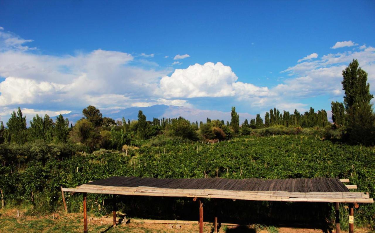 Hotel Finca Amancay Унион Вила Екстериор снимка